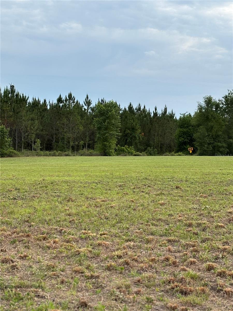 This is your chance to own a beautiful piece of North Florida land with paved roads on two sides, it's the perfect balance of open space, privacy, and convenience. This cleared 5 acre corner parcel located outside of a flood zone, and offers endless potential for a custom site built home, manufactured home, mini farm, gardens, animals, recreational use, or simply a peaceful escape from the congestion of the city. Surrounded by quiet country scenery while still remaining close to everyday essentials, the property is located within 3 miles of highly rated schools, approximately 5 miles to the new Publix shopping plaza and Tractor Supply, 9 miles to Lake City, and just minutes from I 75 for an easy commute. No HOA restrictions and plenty of room to bring your vision to life whether you are looking to build now, invest for the future, or create your own private homestead. Come check out this property today! Buyer responsible for accuracy of all measurements,legal,zoning and land use.
