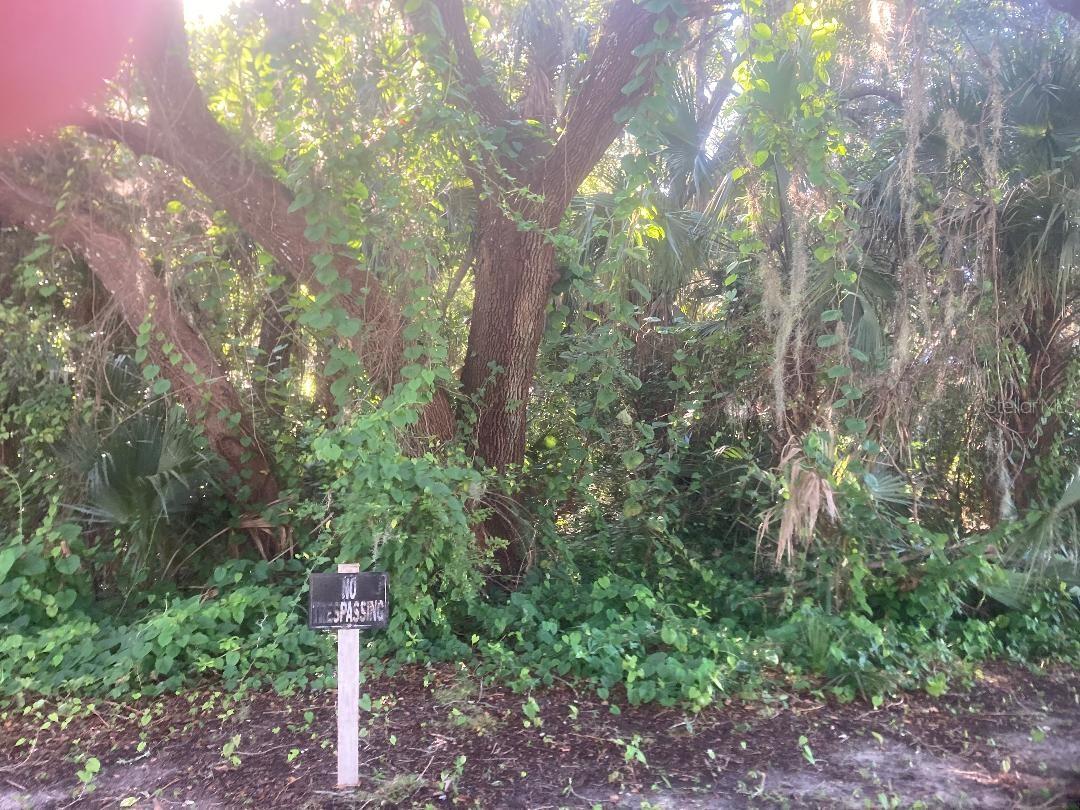 This beautifully treed lot is ready for your new home. Priced much lower than an Edgewater lot and no HIGH water bill. Oak Hill is the quaint town people look find when moving to Florida. Home of the famous WF Burns K-12 A rated school.