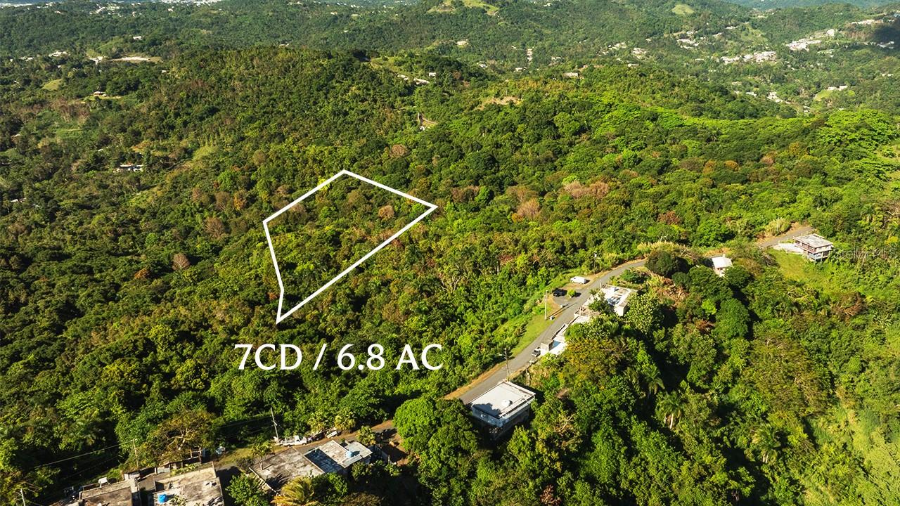 Spanning approximately 27,207 m² (6.72 acres), this exceptional lot is located in Barrio Cacao, Carolina, just 5 minutes from Route 66, with access via State Road PR-852 (Km 6.4, interior lot 15).

The property features dual access, from both the Arratanes Sector in Barrio Cacao and Barrio Quebrada Grande in Trujillo Alto via PR-852, ensuring convenient connectivity from multiple key areas.

It includes approved considerations for the construction of an internal road, significantly enhancing its development potential for residential use, a private estate, farm, or investment project. Strategically positioned approximately 20 minutes from Luis Muñoz Marín International Airport, it offers easy access to major highways while maintaining a private, natural setting.

With its generous size, strategic location, and flexible development potential, this property represents a strong opportunity for investors or developers interested in residential, eco-tourism, or recreational projects, subject to applicable permits.