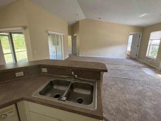 PORT CHARLOTTE SUB 49 - Residential