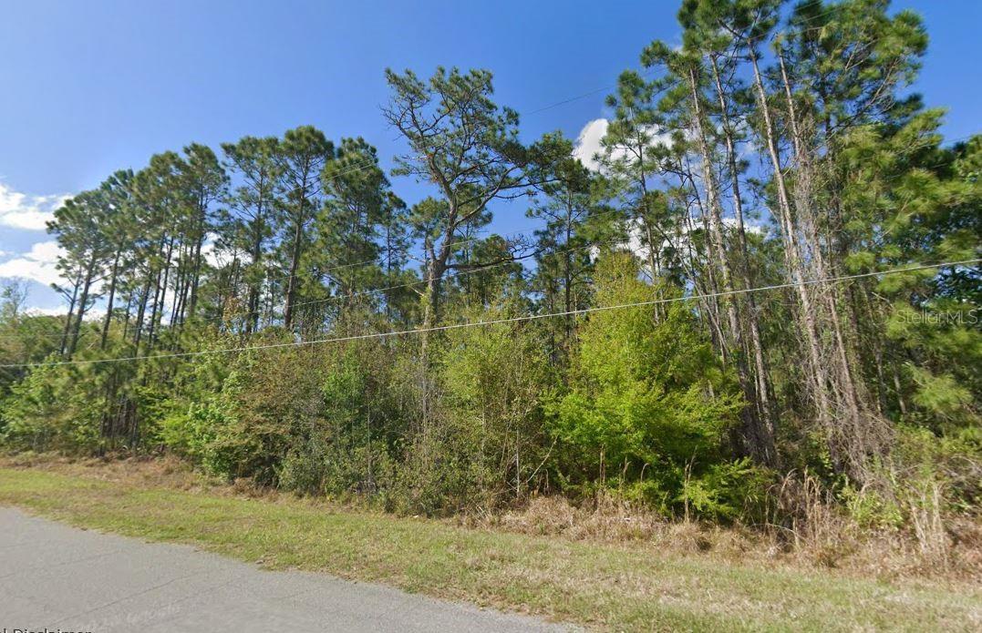 Large estate property is now available in the Wedgefield community of Orlando. Build your custom dream home on over 2 acres with Canal frontage. Plenty of room to make all of your dreams come true. No HOA required - horses, RV's, and boats are allowed. Conveniently located nearby the 18-hole championship Wedgefield Golf course.  Enjoy country living with easy commute to downtown Orlando, airport and beaches.
