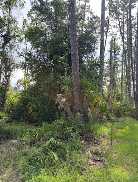 DAYTONA PARK ESTATES SEC C - Land