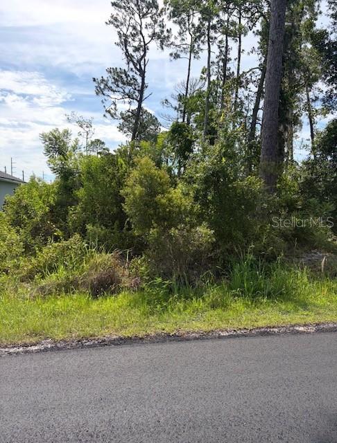 DAYTONA PARK ESTATES SEC C - Land