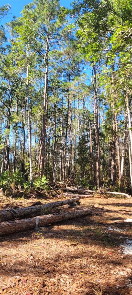PLANTATION PINES UNREC 246 - Land