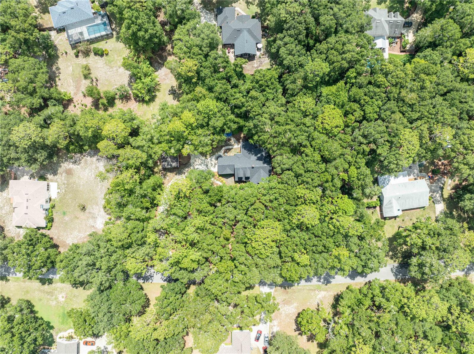 KANAPAHA PINES - Residential