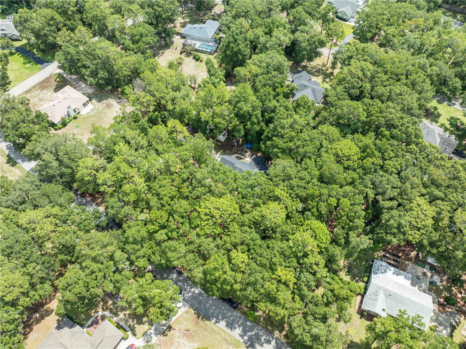 KANAPAHA PINES - Residential