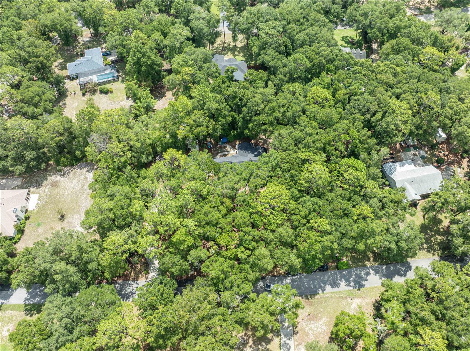 KANAPAHA PINES - Residential