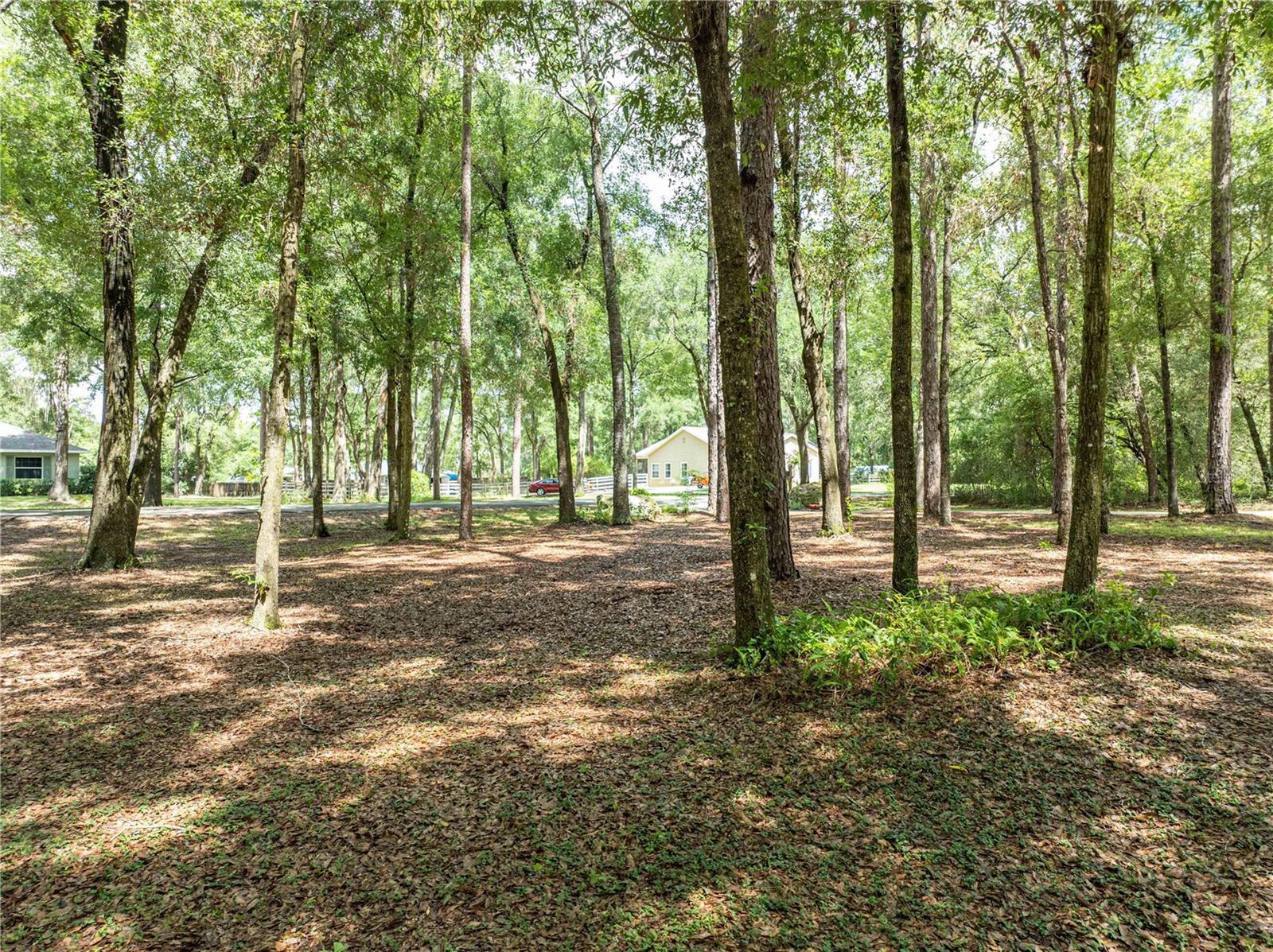 KANAPAHA PINES - Residential