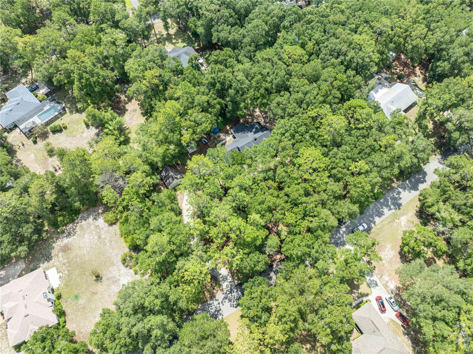KANAPAHA PINES - Residential
