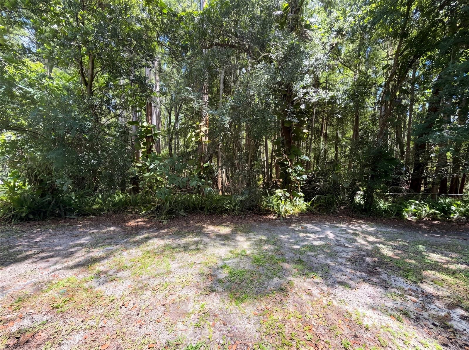 CARROLLWOOD MEADOWS UN XI - Residential