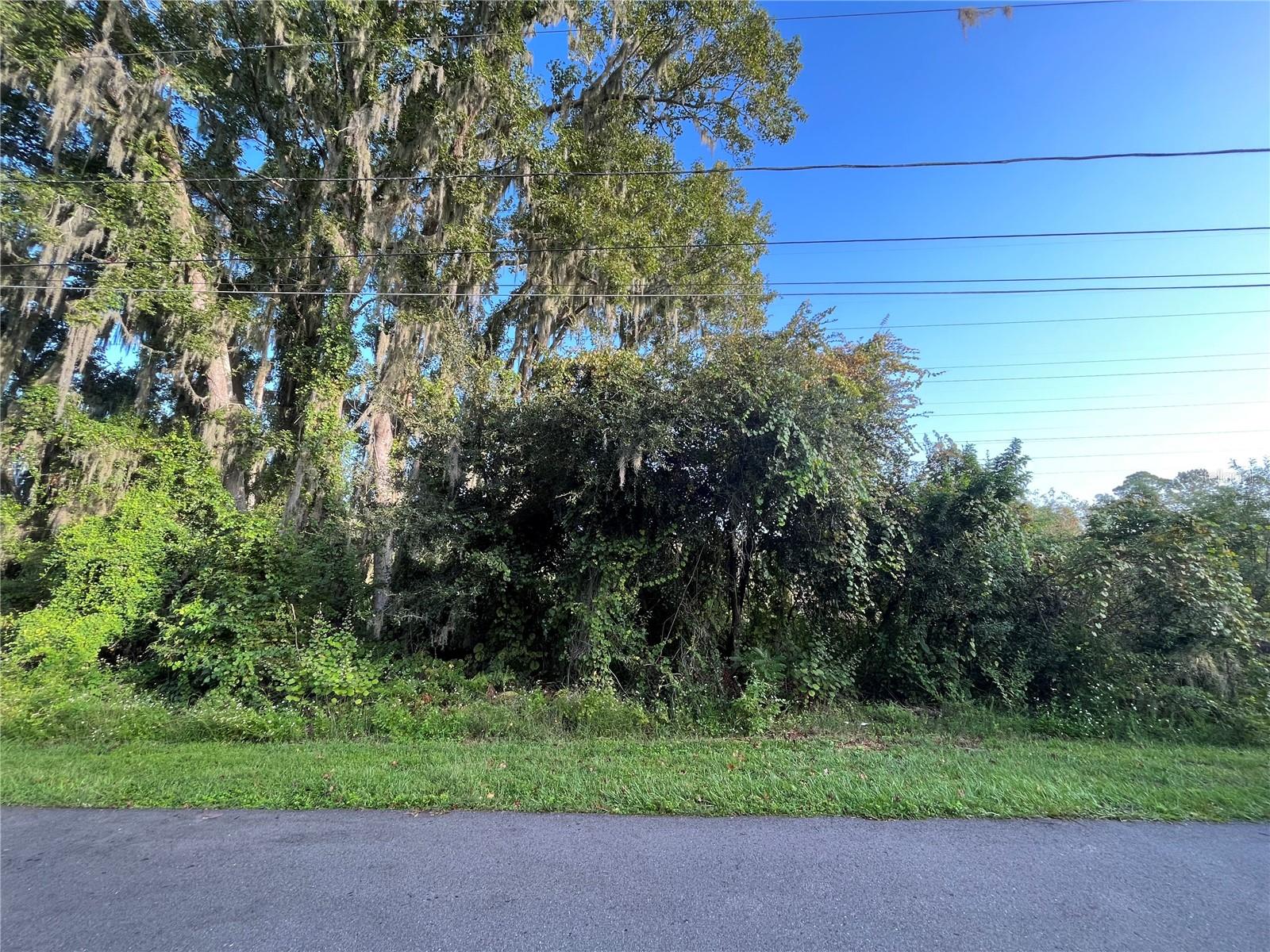 Rare Opportunity in DeBary! Invest in this spacious vacant lot at 268 Toms Rd, located in a quiet, established neighborhood with no HOA. This lot offers a great mix of privacy and convenience, just minutes from shopping, dining, and major highways for an easy commute. Additional adjacent lots also available: 262, 264, 266, and 270 Toms Rd—perfect for added space or development potential. For questions regarding land use, building requirements, or zoning, please phone the City of DeBary Zoning Department directly. Don't miss out on this growing area—secure your piece of DeBary today!