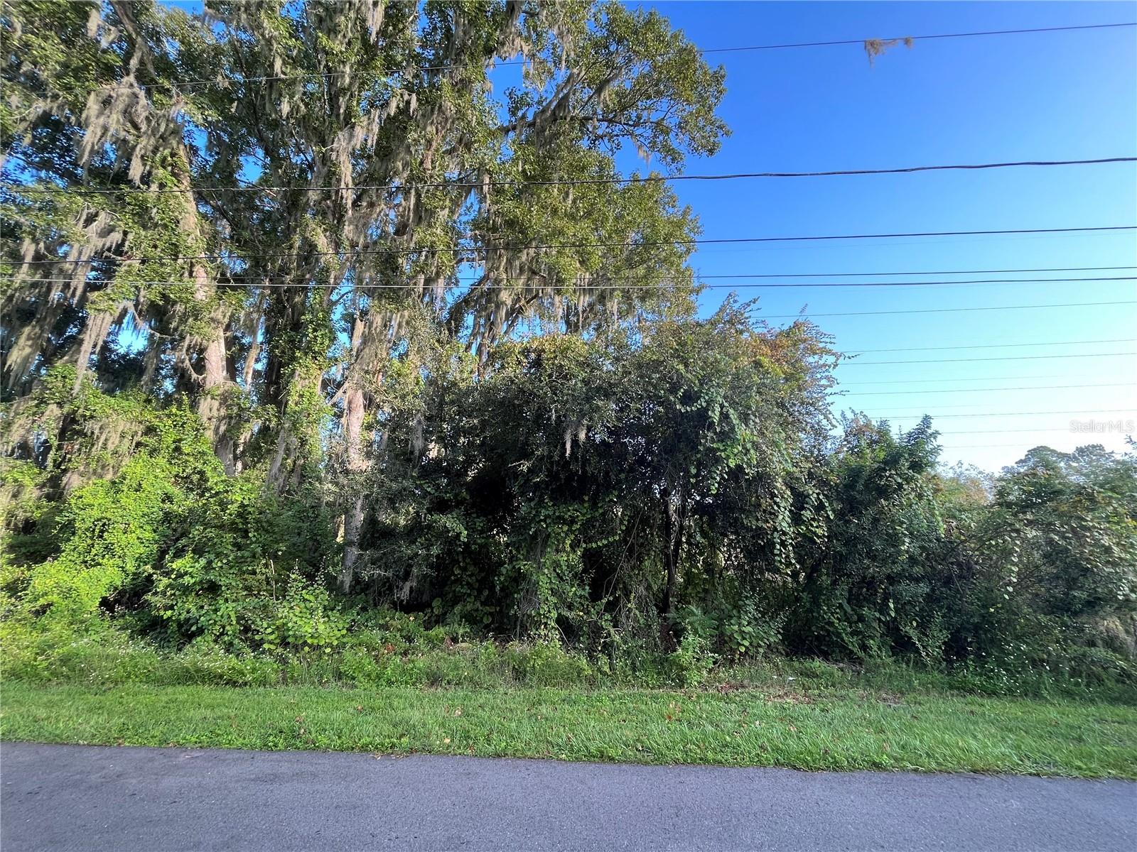 PLANTATION ESTATES UNIT 31 - Land
