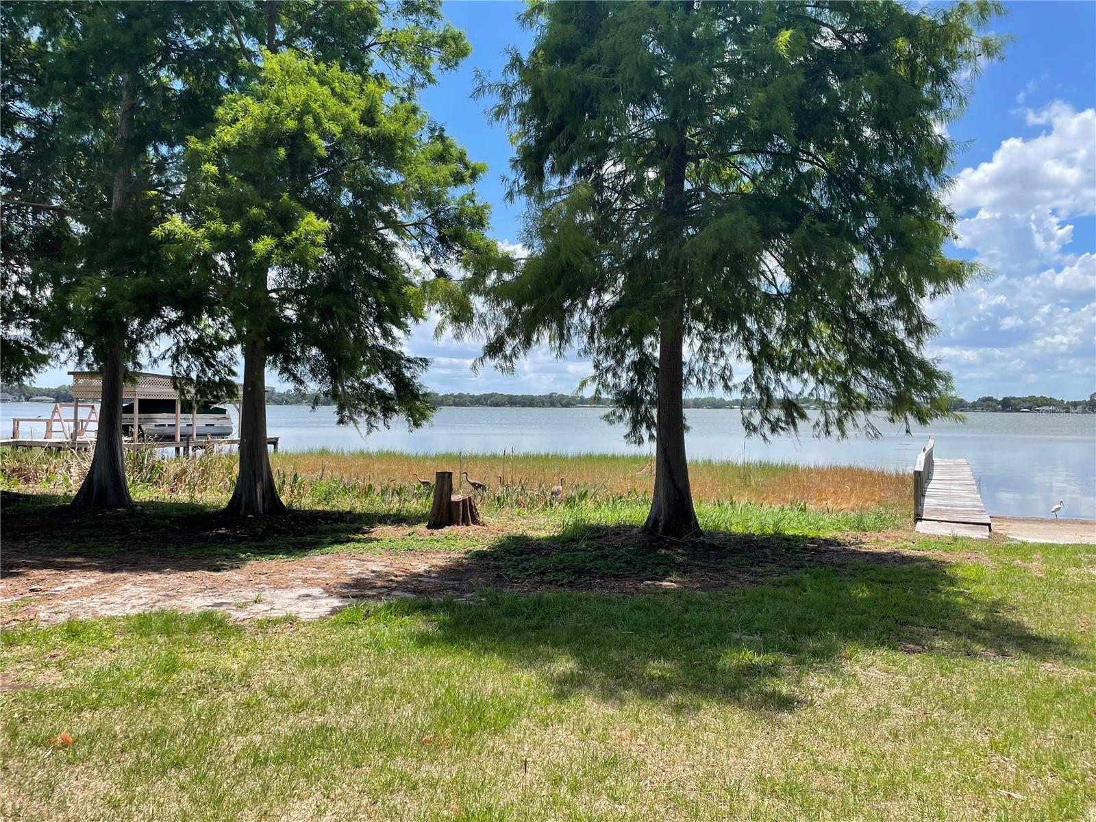 LAKE MARIANA ACRES - Residential