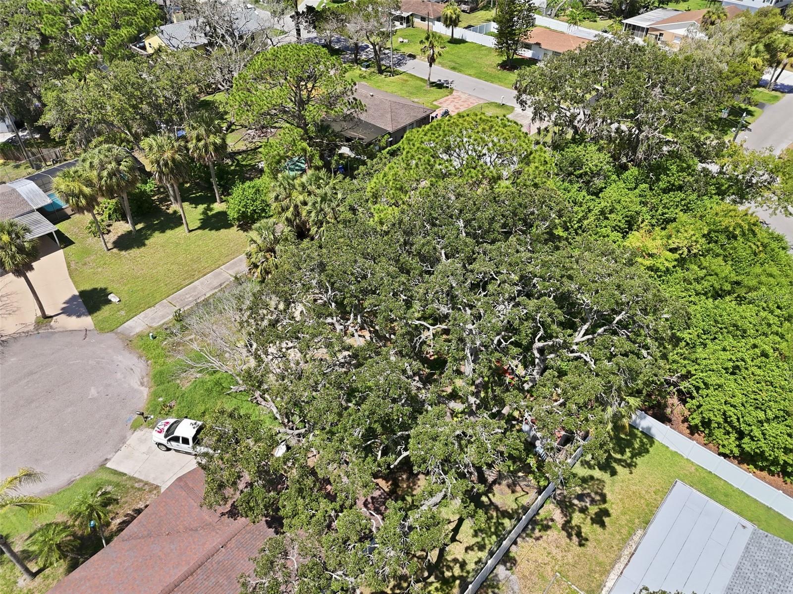 JERIVERNE PLAZA - Land