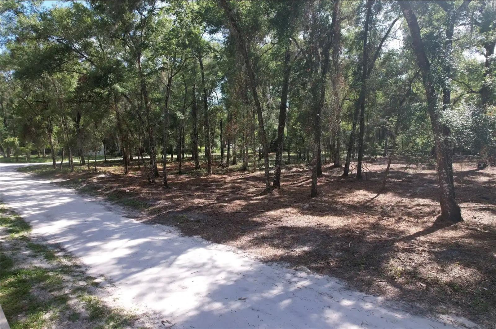 SILVER SPGS ACRES - Land