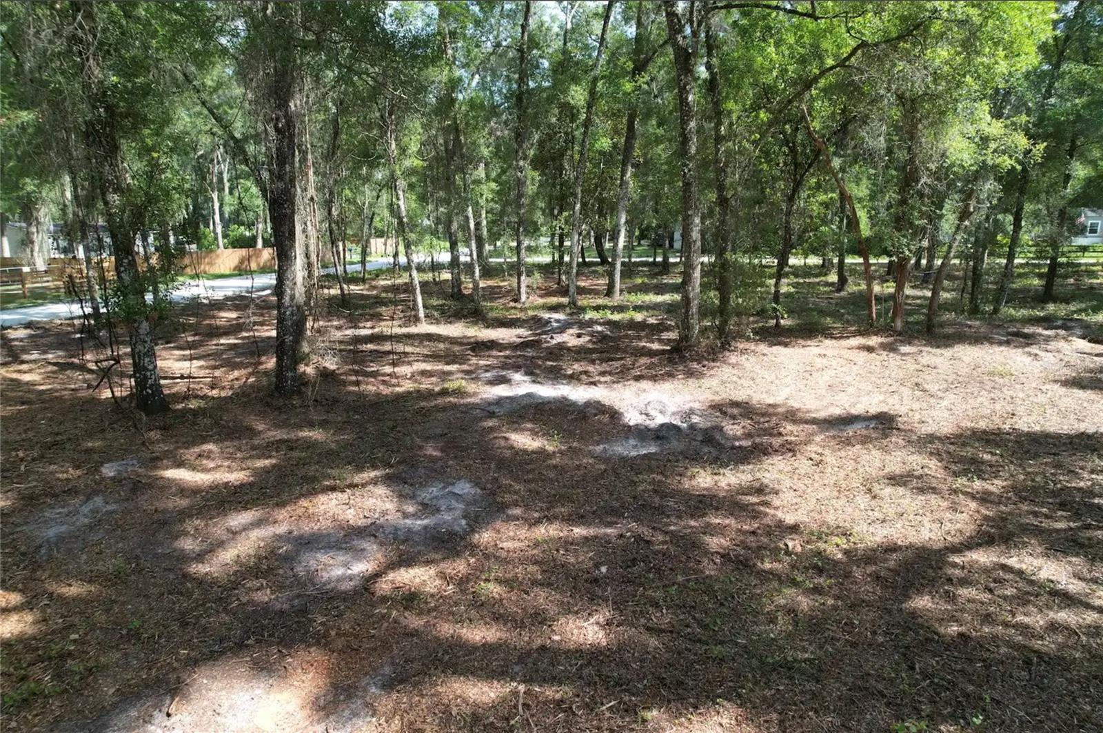 SILVER SPGS ACRES - Land