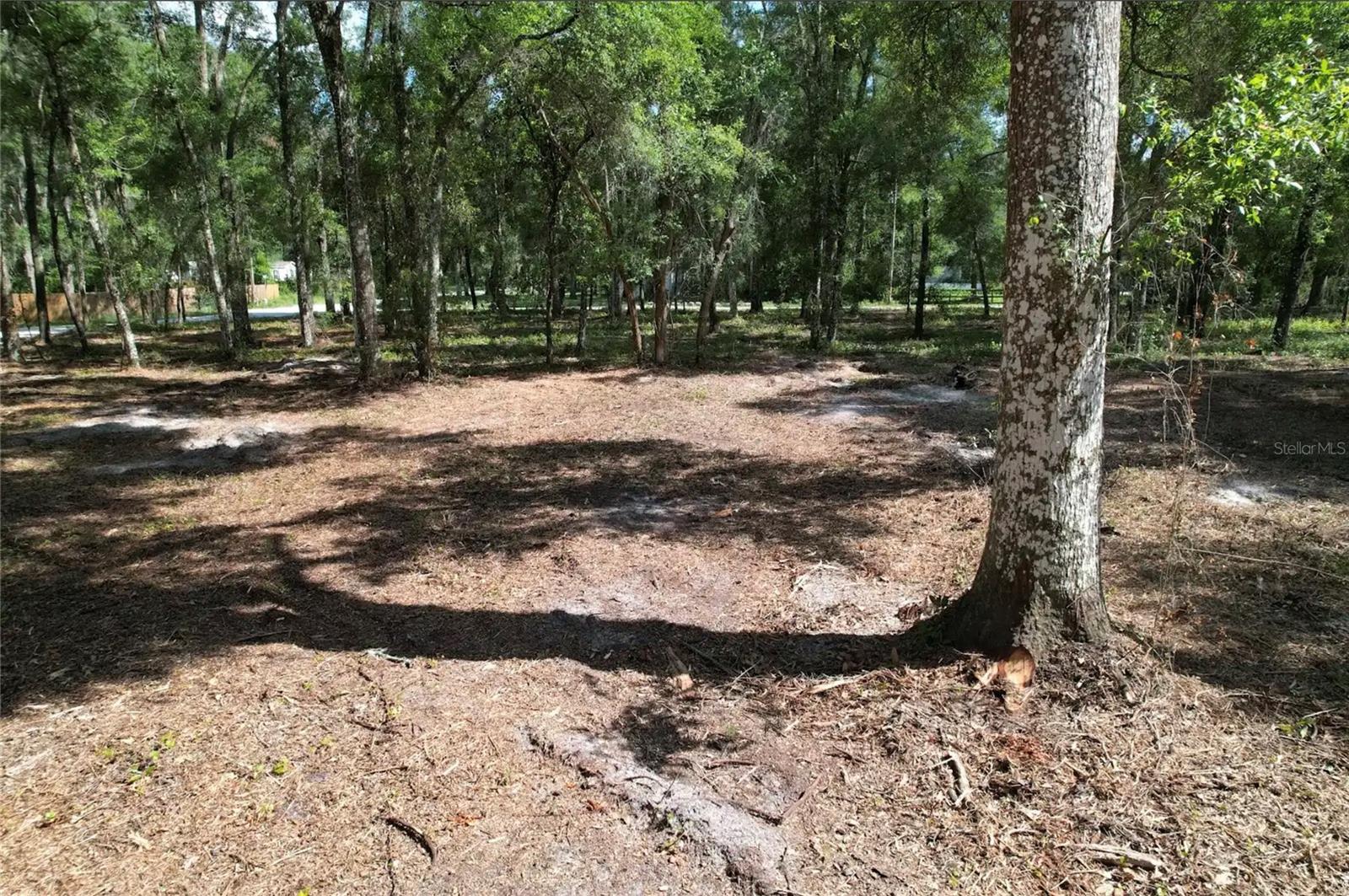 SILVER SPGS ACRES - Land