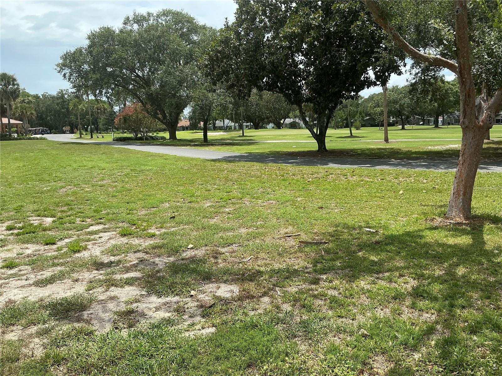 LADY LAKE ORANGE BLOSSOM GARDENS UNIT 16 - Residential