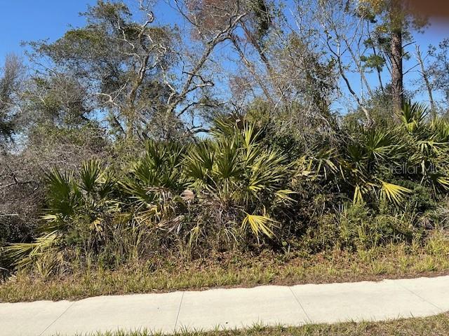 DELTONA LAKES UNIT 19 - Land