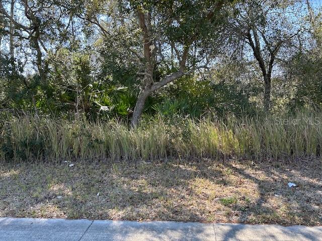 JUST REDUCED AGAIN!  SELLER SAYS NO REASONABLE OFFER WILL BE REFUSED!!  DON'T MISS THIS OPPORTUNITY TO OWN AN OVERSIZED COMMERCIAL LOT OVER .75 ACRES IN GROWING AREA OF DELTONA.  CORNER LOT DIRECTLY ACROSS FROM DOLLAR GENERAL STORE.  PROPERTY IS ZONED C-1 GENERAL COMMERCIAL WITH MANY USES BOTH RETAIL AND OFFICE.  IF YOU HAVE BEEN LOOKING FOR A GREAT INVESTMENT, LOOK NO FURTHER!!! CALL TODAY