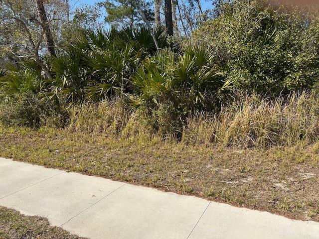 DELTONA LAKES UNIT 19 - Land