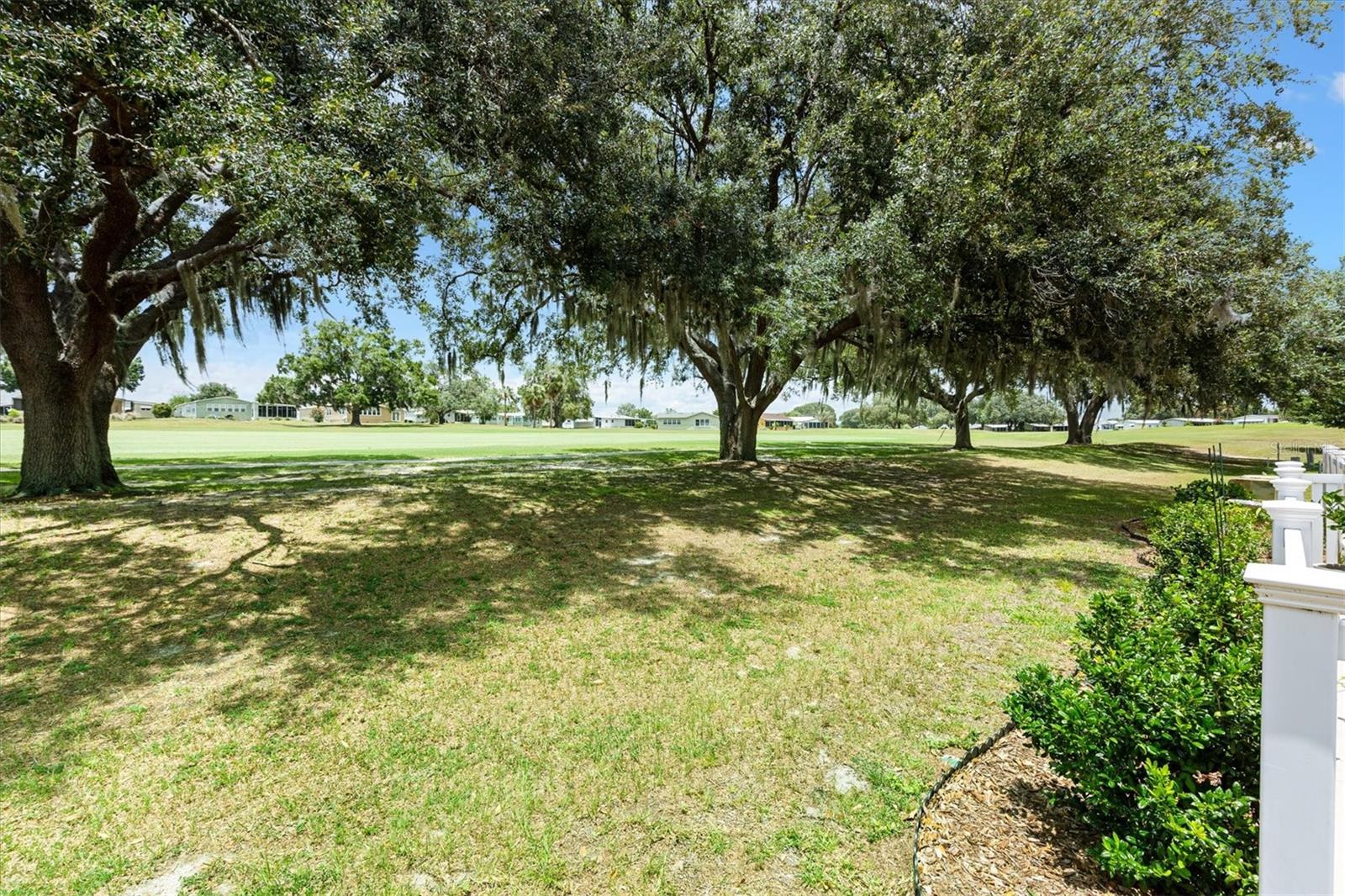 LADY LAKE ORANGE BLOSSOM GARDENS UNIT 10 - Residential