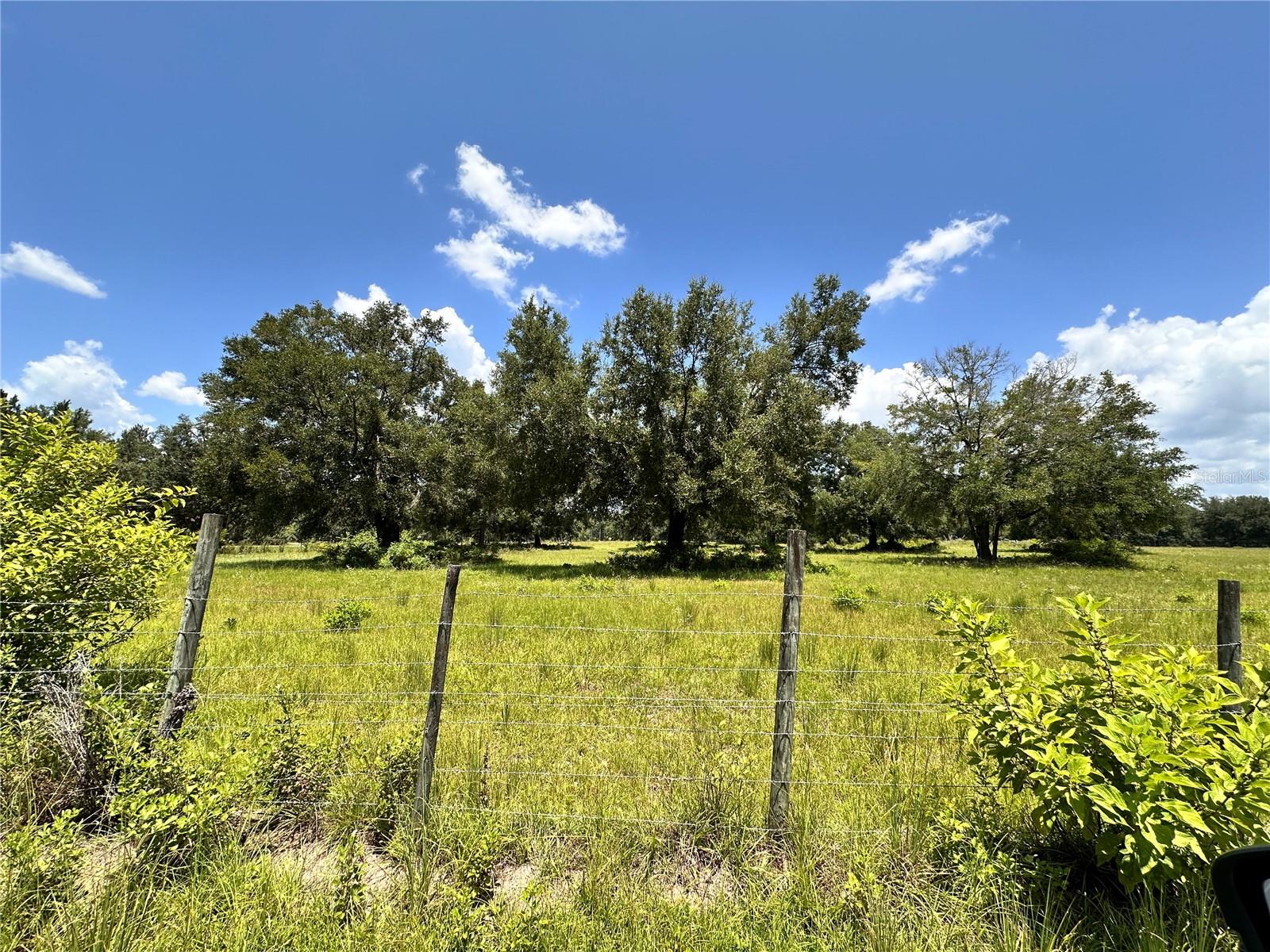 CARDINAL FARMS - Residential