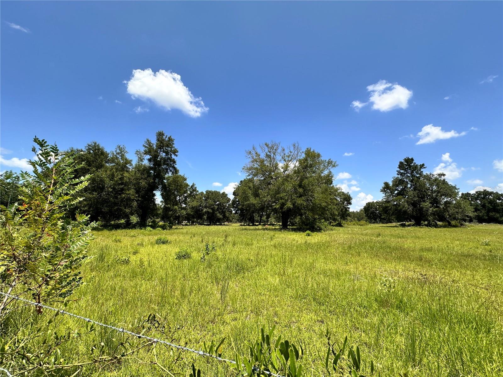 CARDINAL FARMS - Residential