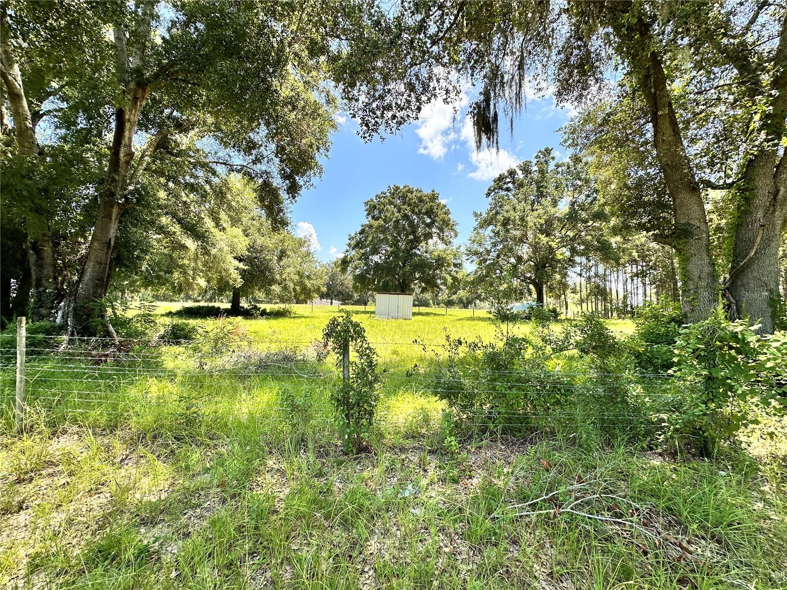 CARDINAL FARMS - Residential