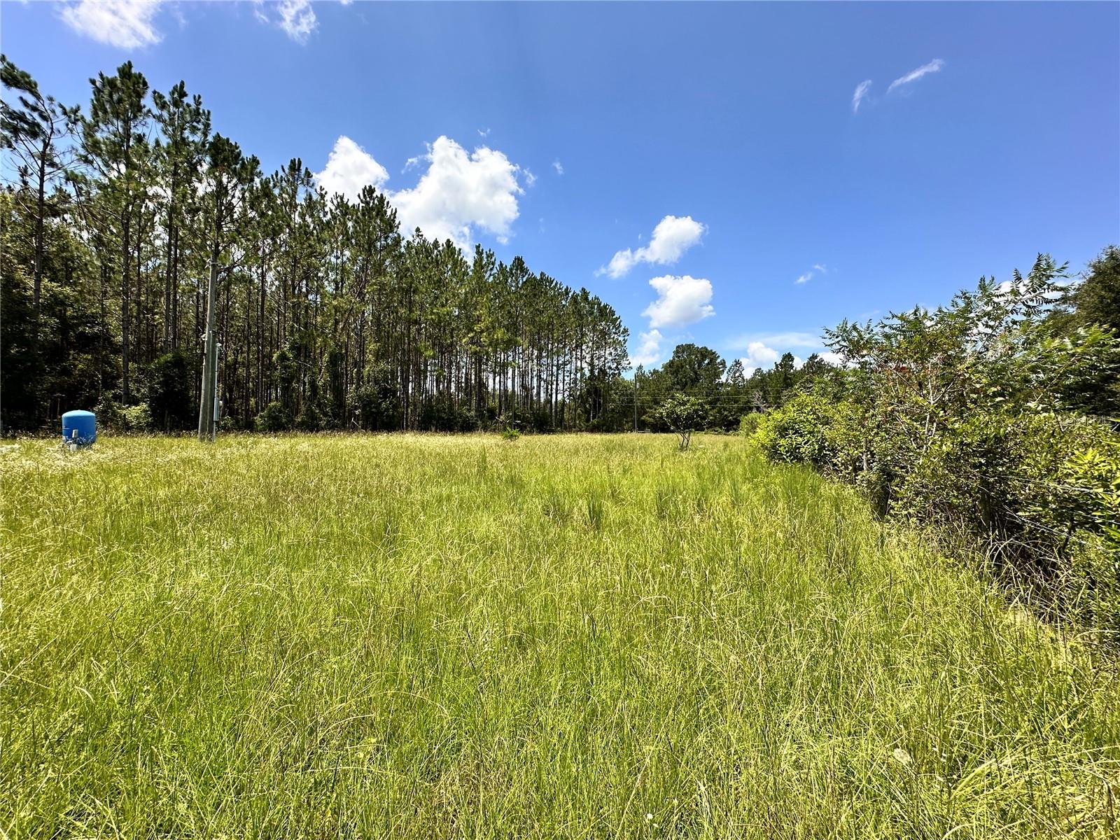 CARDINAL FARMS - Residential
