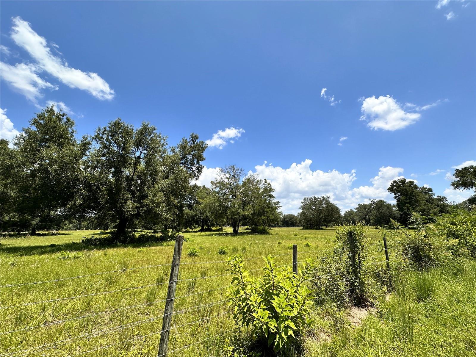 CARDINAL FARMS - Residential
