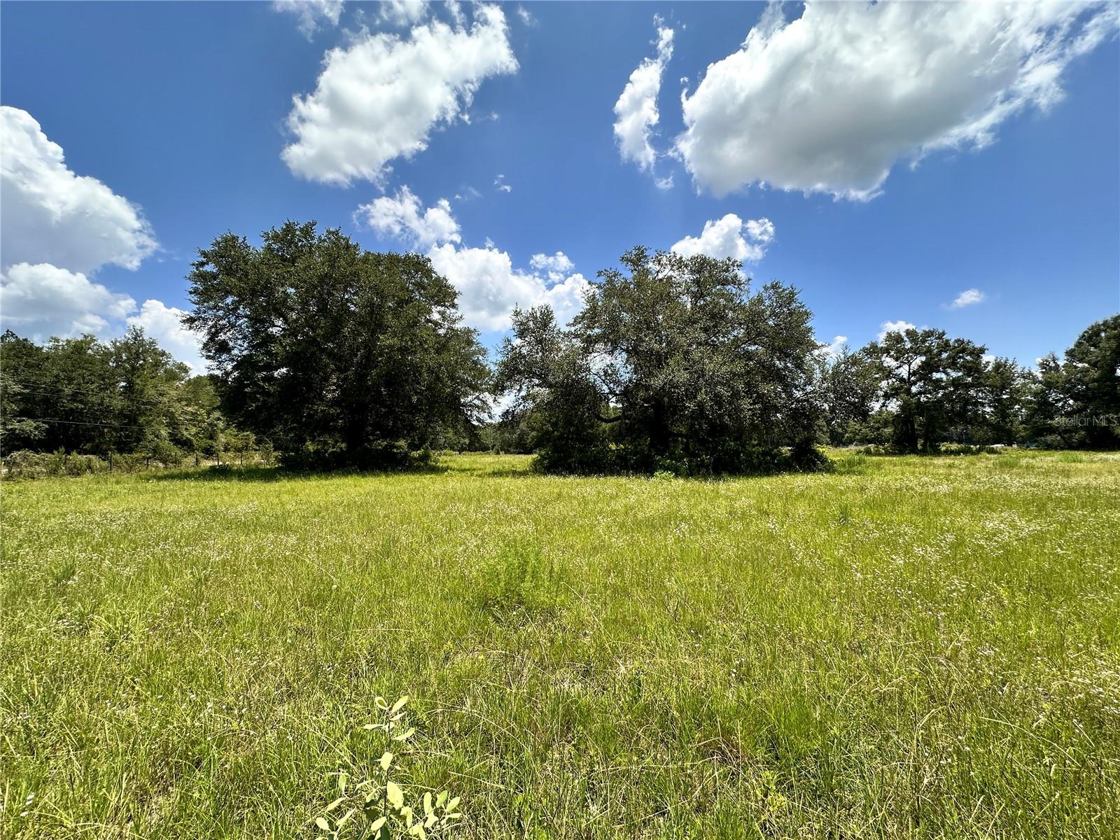 CARDINAL FARMS - Residential