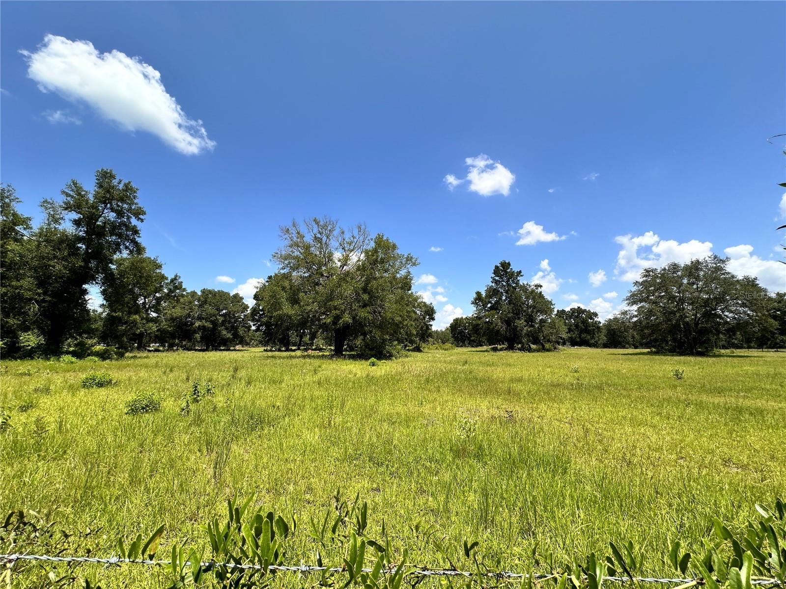 CARDINAL FARMS - Residential