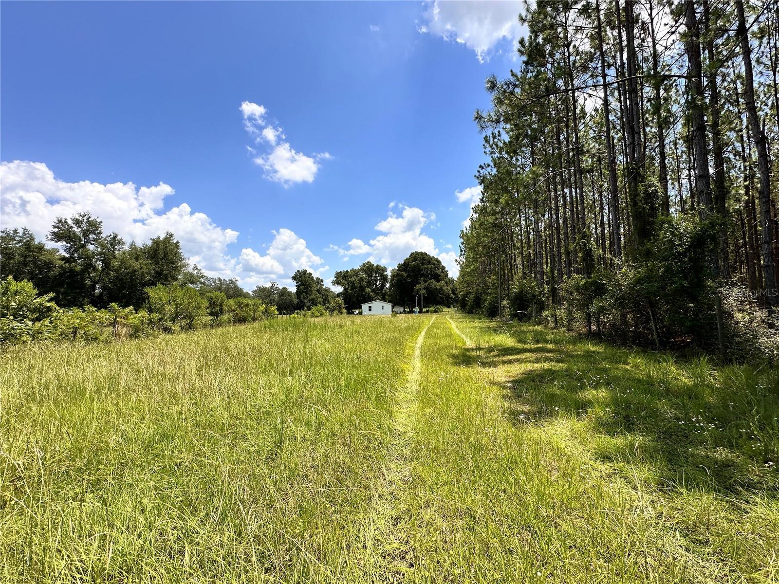 CARDINAL FARMS - Residential