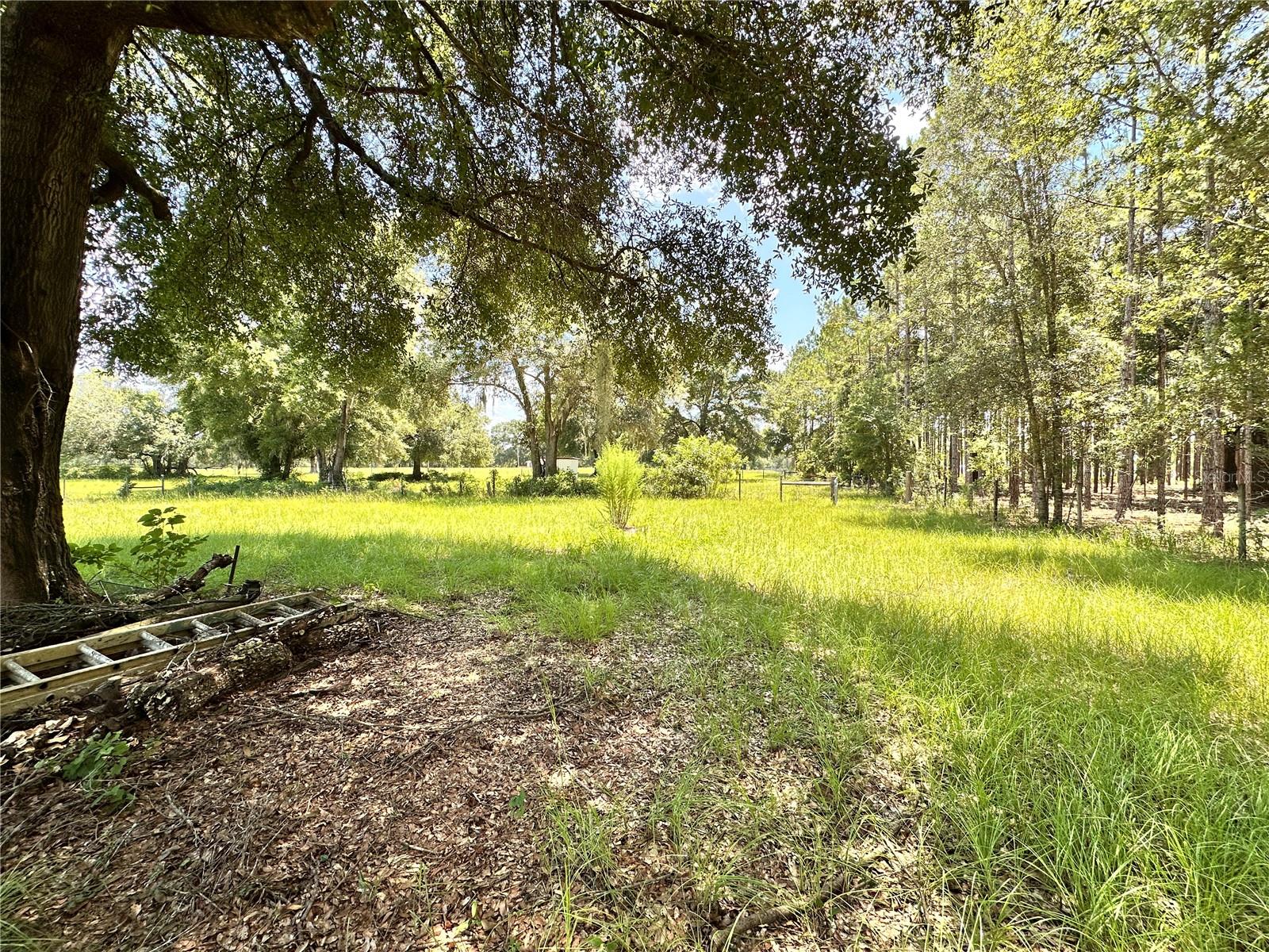 CARDINAL FARMS - Residential