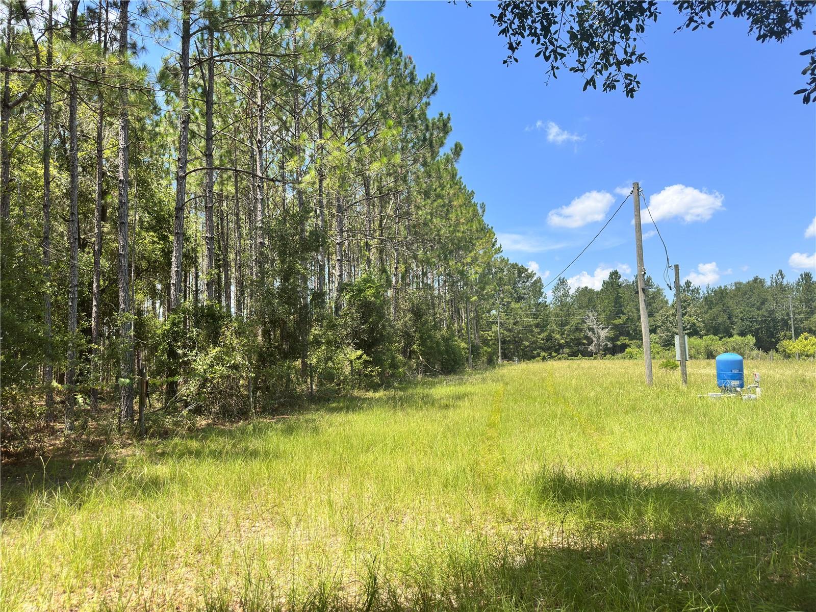 CARDINAL FARMS - Residential