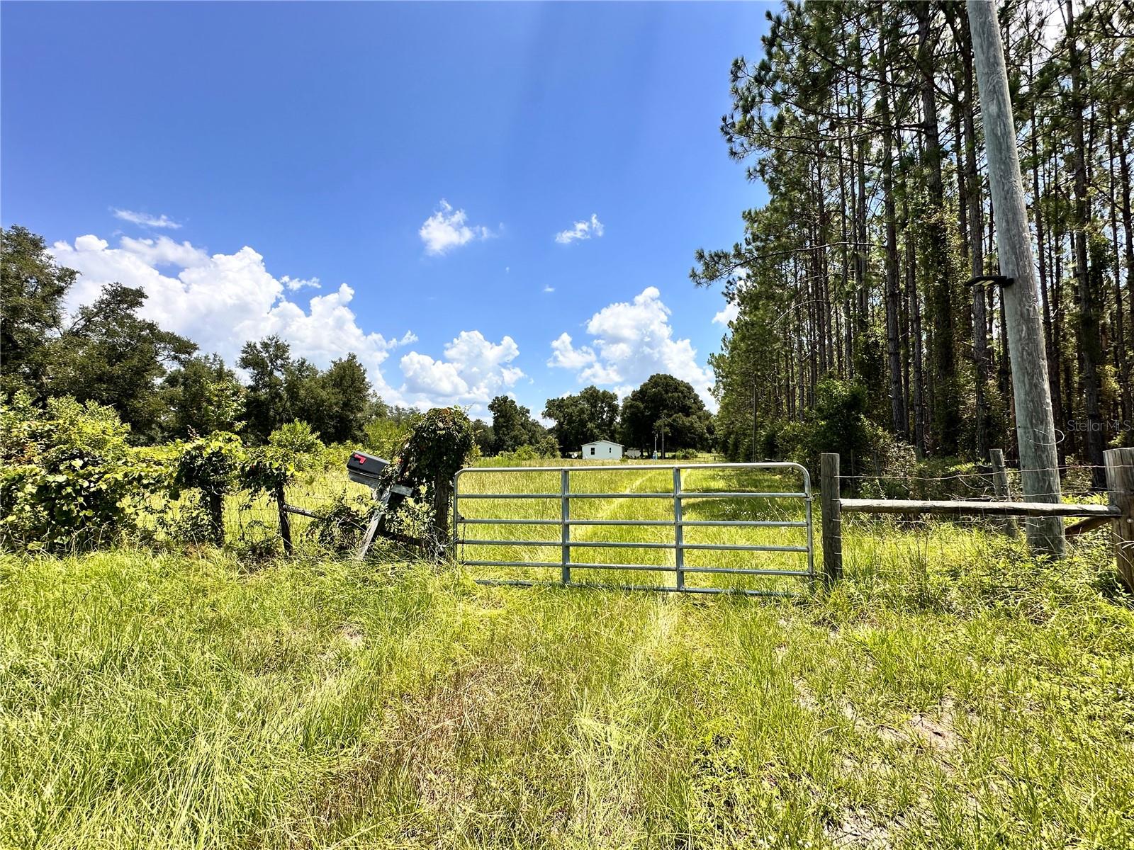 CARDINAL FARMS - Residential