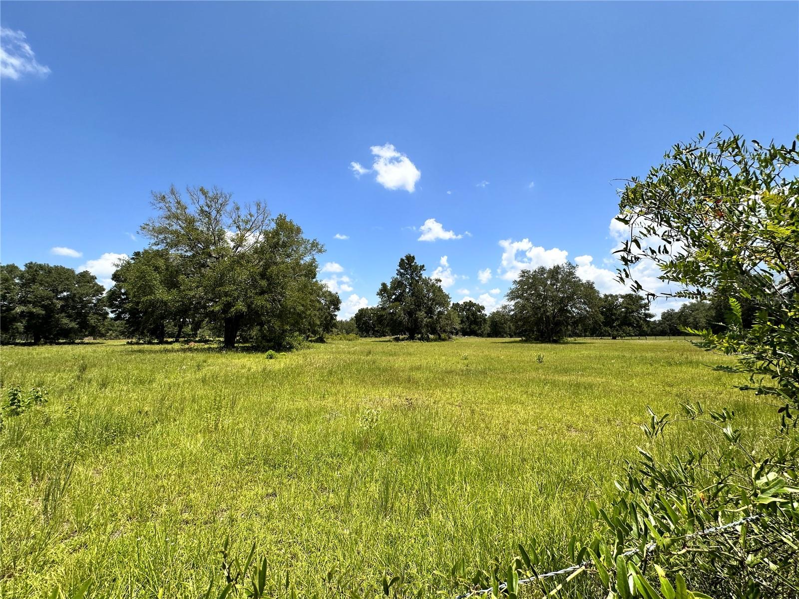 CARDINAL FARMS - Residential