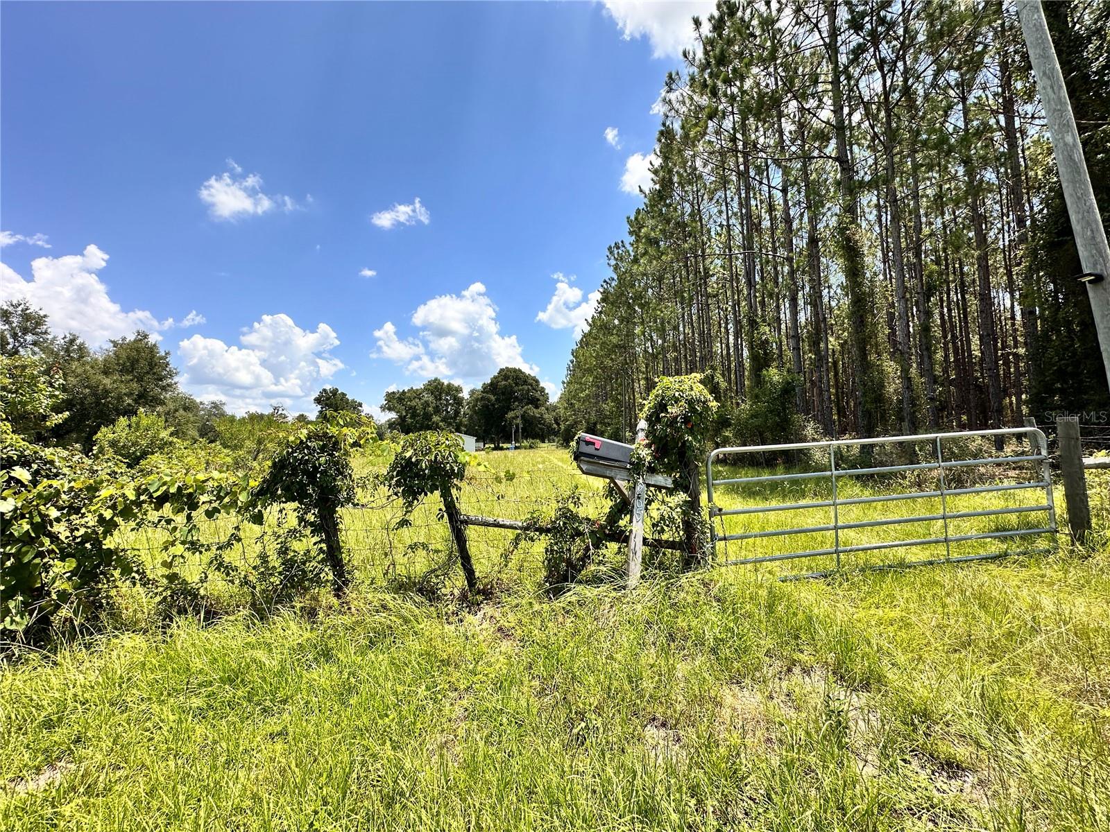 CARDINAL FARMS - Residential