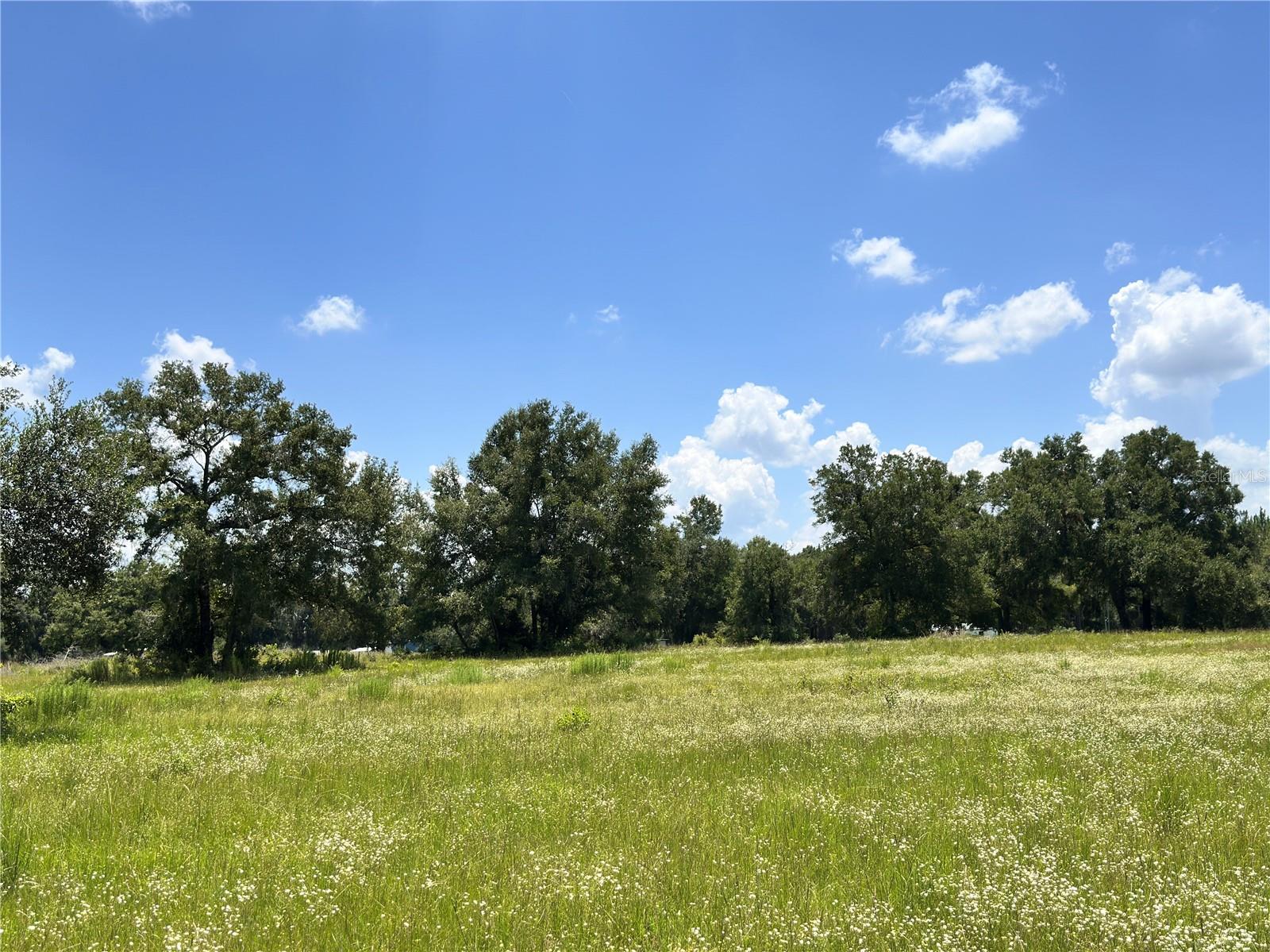 CARDINAL FARMS - Residential