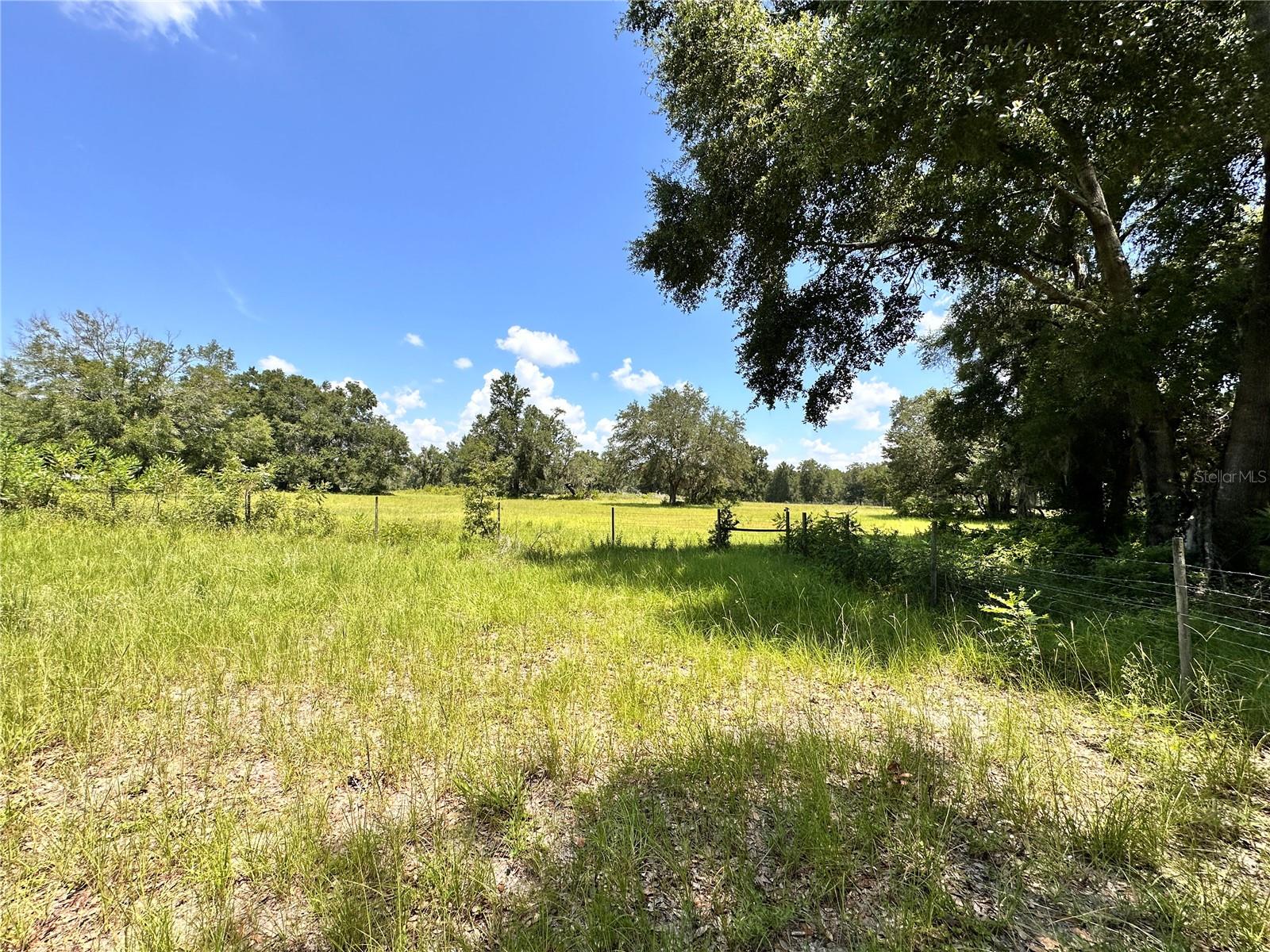CARDINAL FARMS - Residential