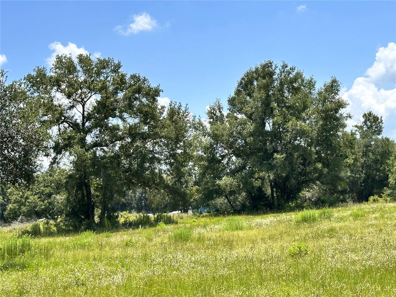 CARDINAL FARMS - Residential