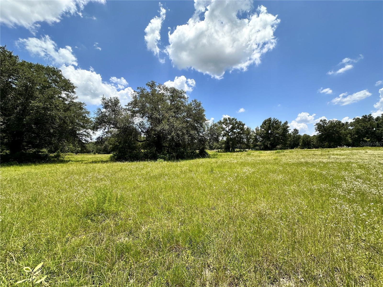 CARDINAL FARMS - Residential