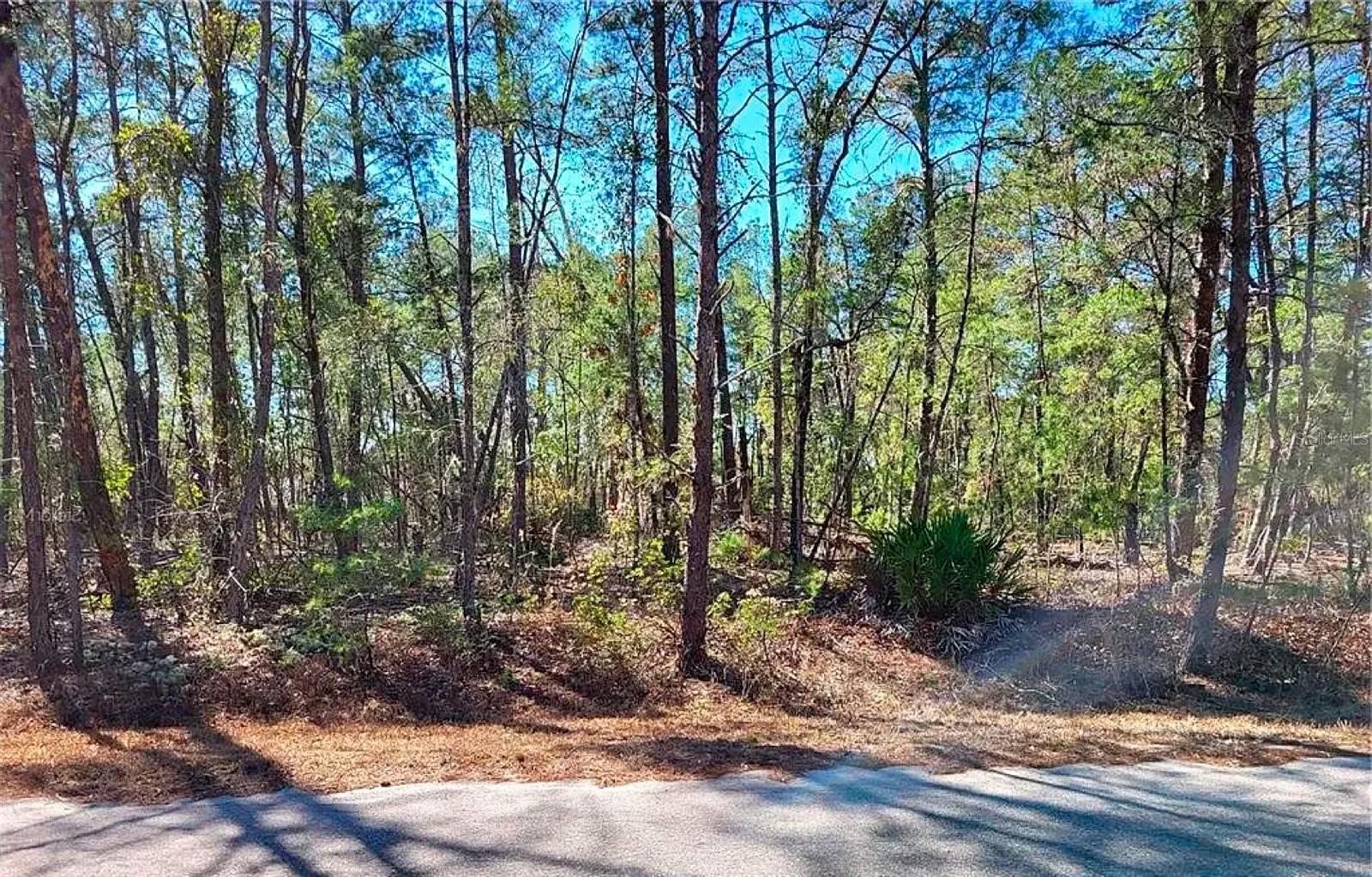 Nestled in the well-established Silver Springs Shores community of Ocklawaha, this buildable quarter-acre lot sits at the doorstep of some of Central Florida's finest natural landscapes — quiet and residential, yet remarkably connected to outdoor adventure and everyday conveniences.