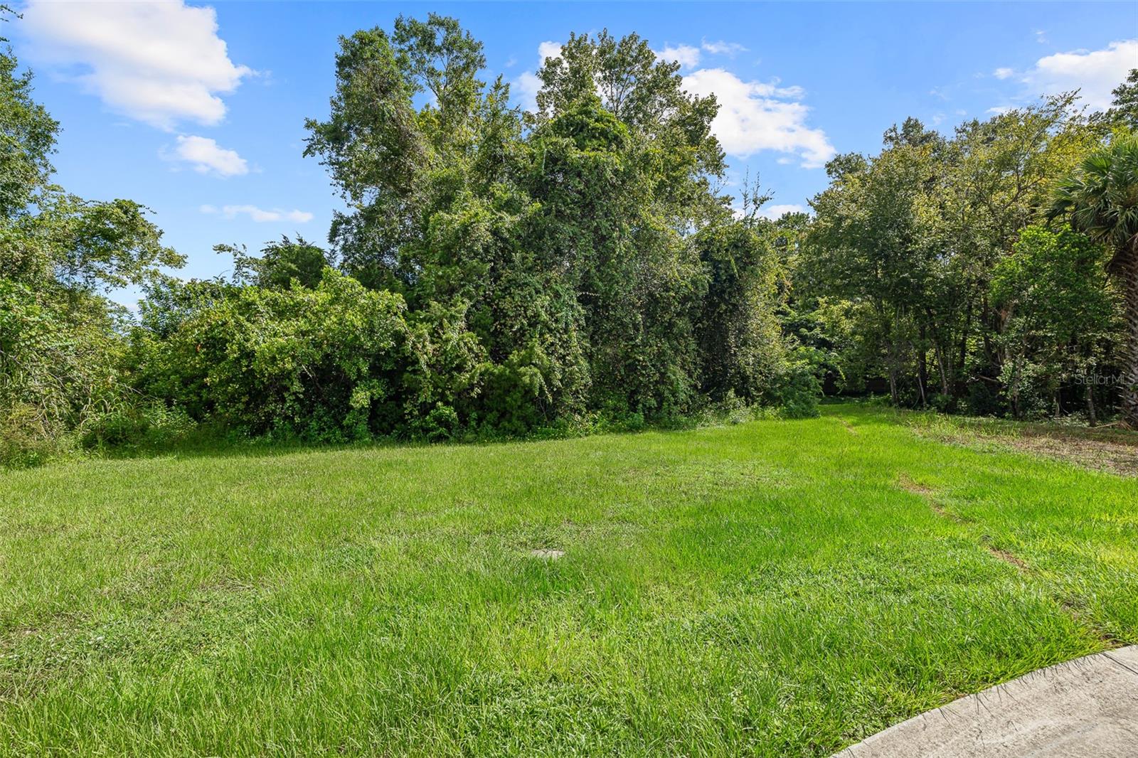 RARE OPPORTUNITY to build on a vacant waterfront lot in a quiet, established Daytona Beach community. This EXCEPTIONAL lot is partially wooded and offers direct water access, providing a private and scenic setting. UNDERGROUND UTILITIES are already in place within the community, simplifying the building process, and the community's annual HOA maintains the common areas to ensure a well-kept environment. This location offers both seclusion AND convenience, with easy access to Daytona Beach, local shopping, dining, and recreational amenities. The lot's waterfront setting is IDEAL for outdoor living and simply enjoying the natural surroundings. This property provides a solid OPPORTUNITY for buyers looking to build a home that combines privacy, water frontage, and access to one of the area's most desirable coastal communities!