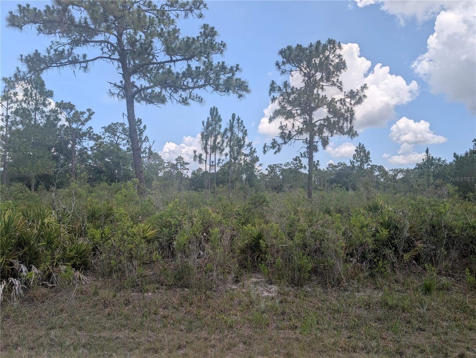 INDIAN LAKE ESTATES UNIT 09 REV - Land