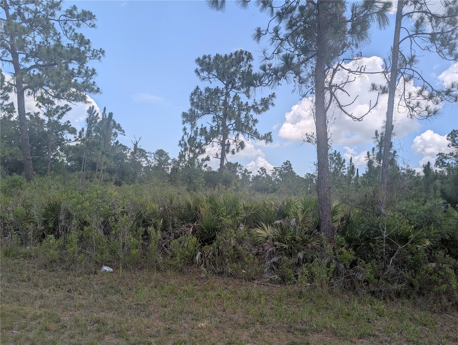 INDIAN LAKE ESTATES UNIT 09 REV - Land