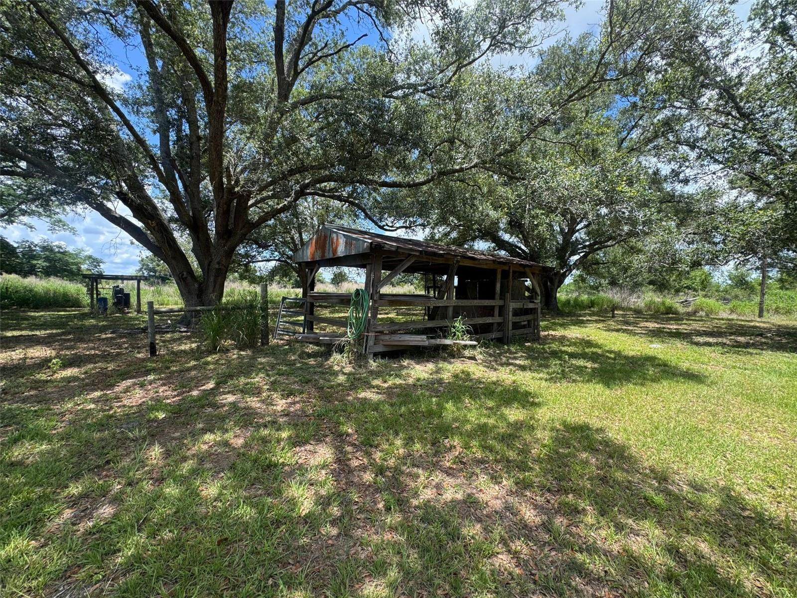 ARCADIA GROVES - Residential