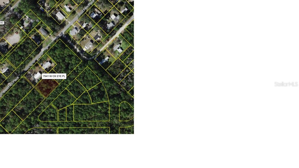 UNIT 5 OF HOMOSASSA (PT0000) - Land