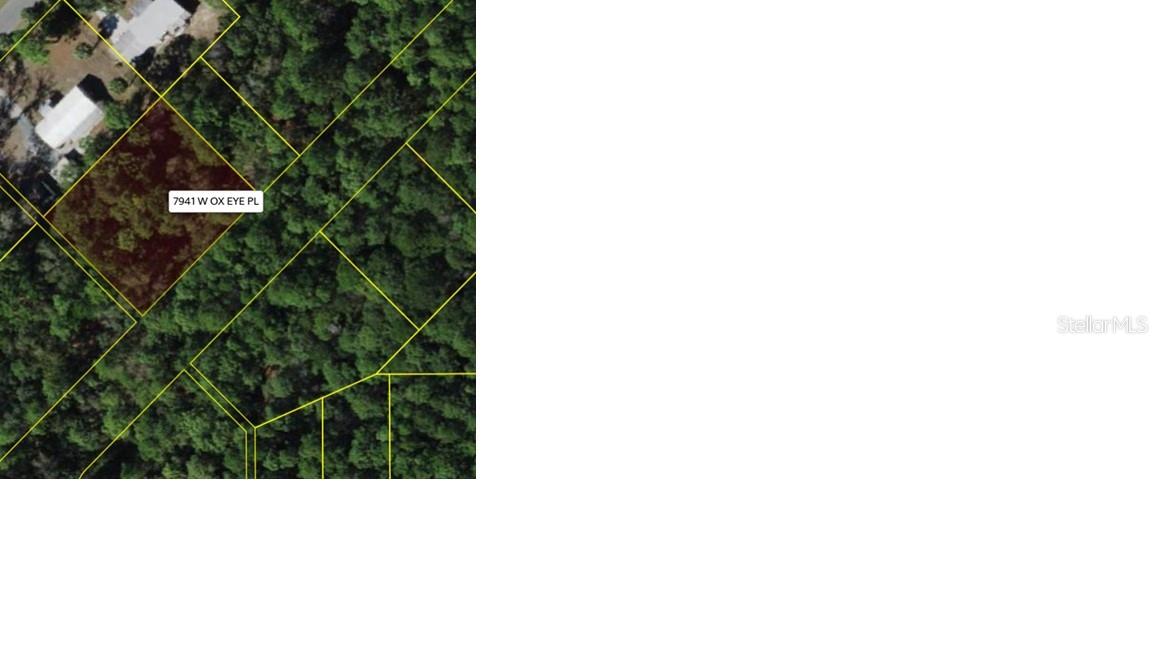 UNIT 5 OF HOMOSASSA (PT0000) - Land